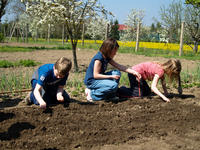 Vesd bele magad! - mi meg(ve)tettük Vesd bele magad! - mi meg(ve)tettük